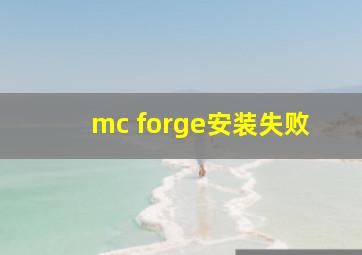 mc forge安装失败